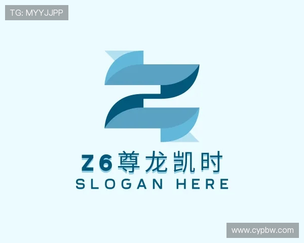 了解z6尊龙凯时